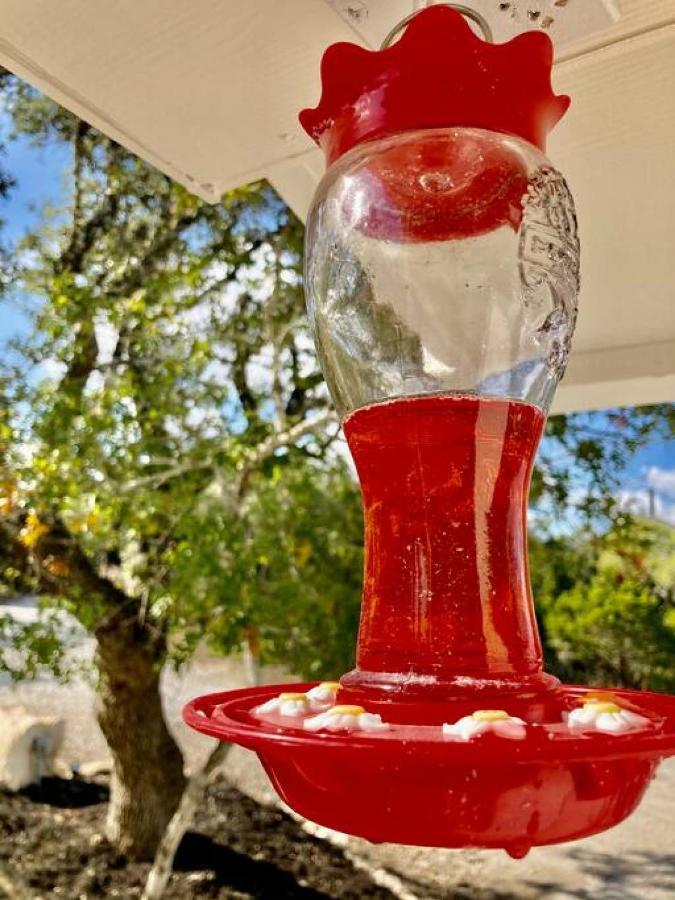 Hummingbird Haus - Hill Country Views On 20 Acres With Firepit Βίλα Spring Branch Εξωτερικό φωτογραφία